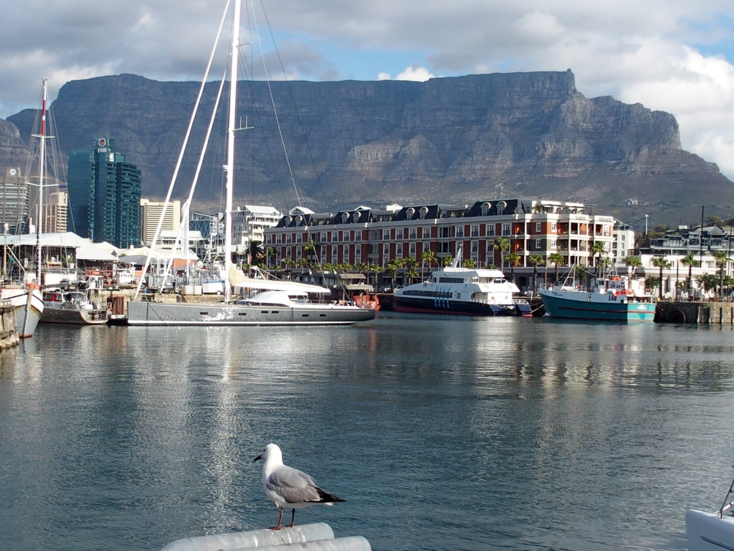 Vue du port et Table mountain Le Cap Afrique du sud
