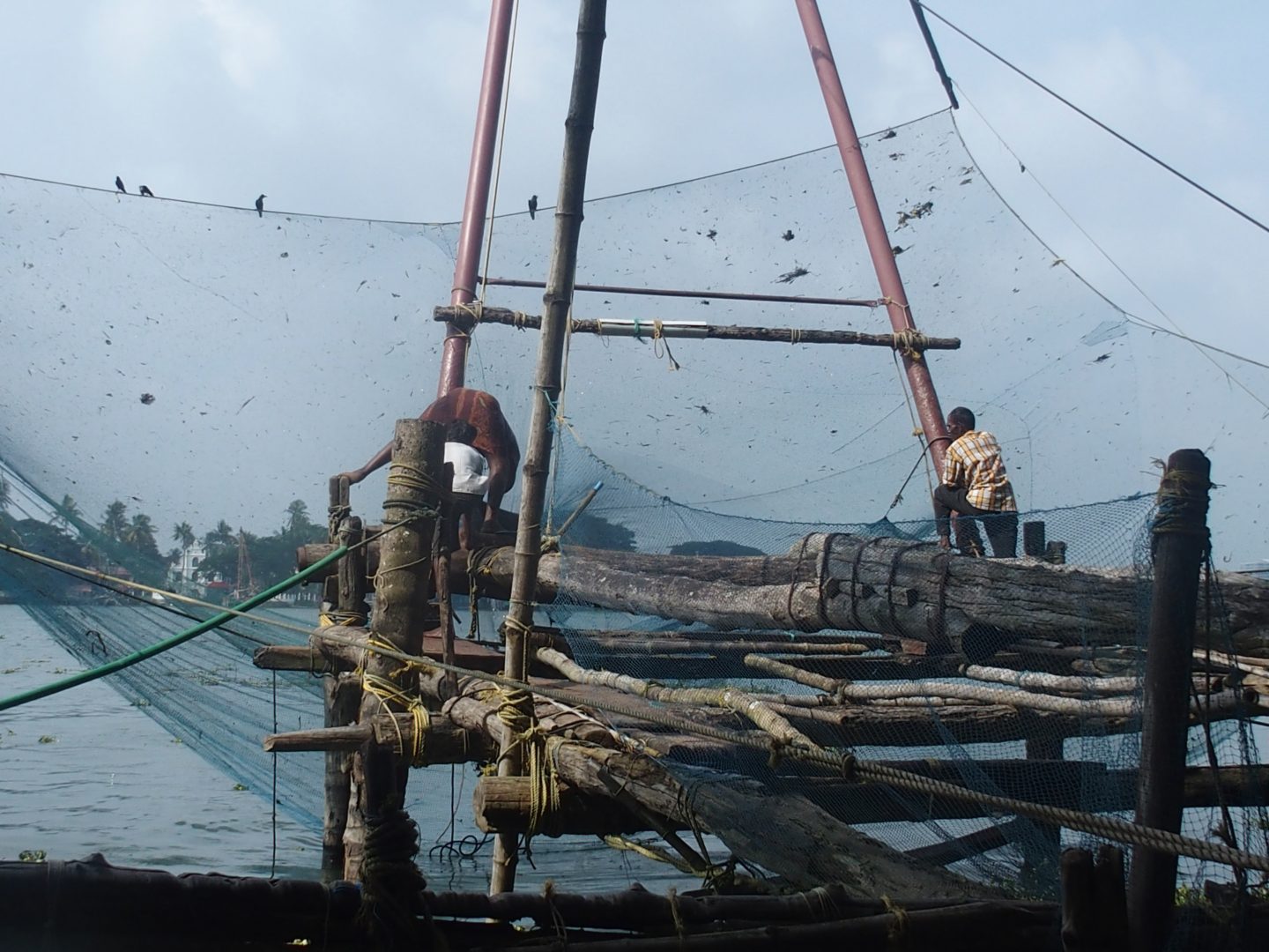 Visiter Cochin pour mes premiers pas en Inde