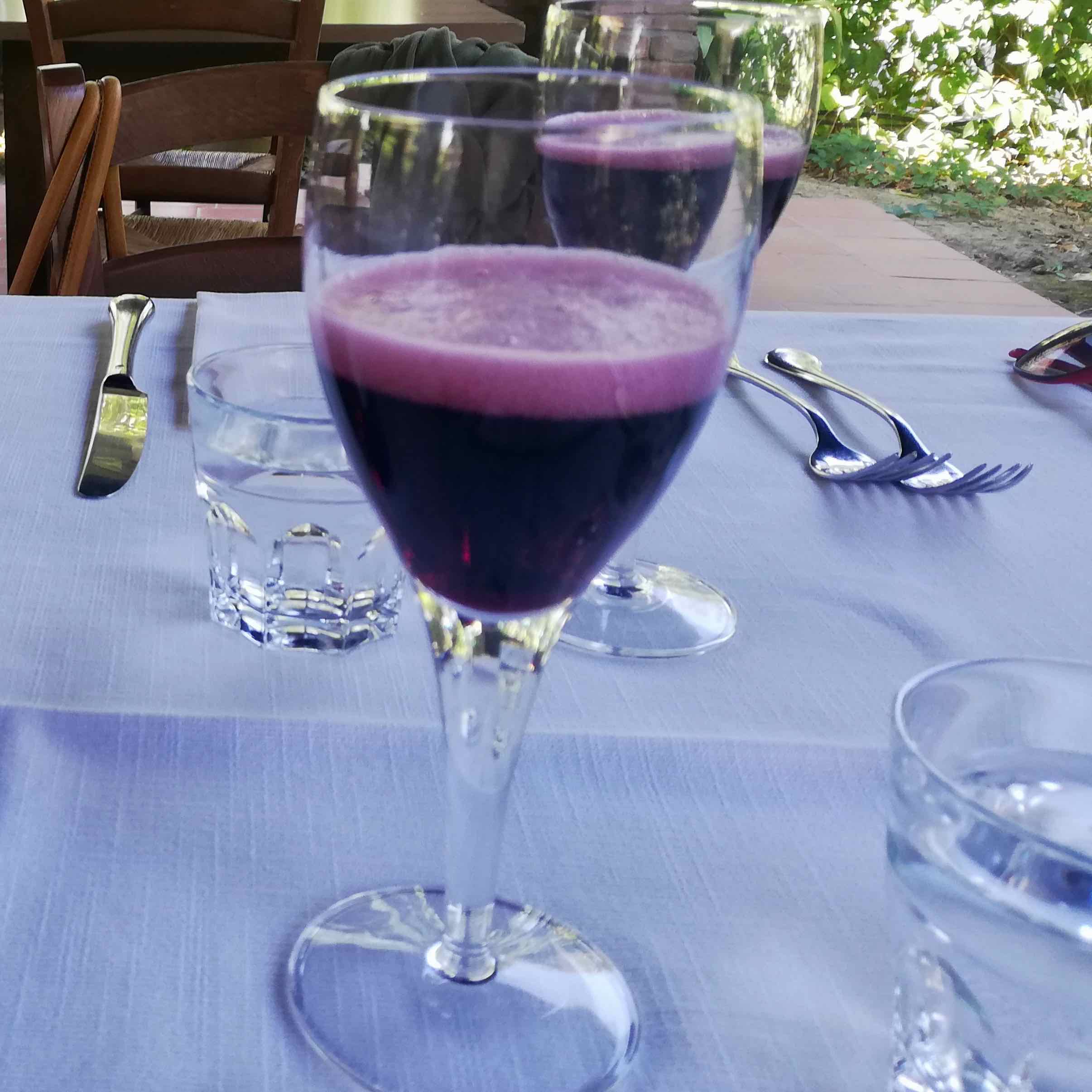 Verre de Lambrusco Modène