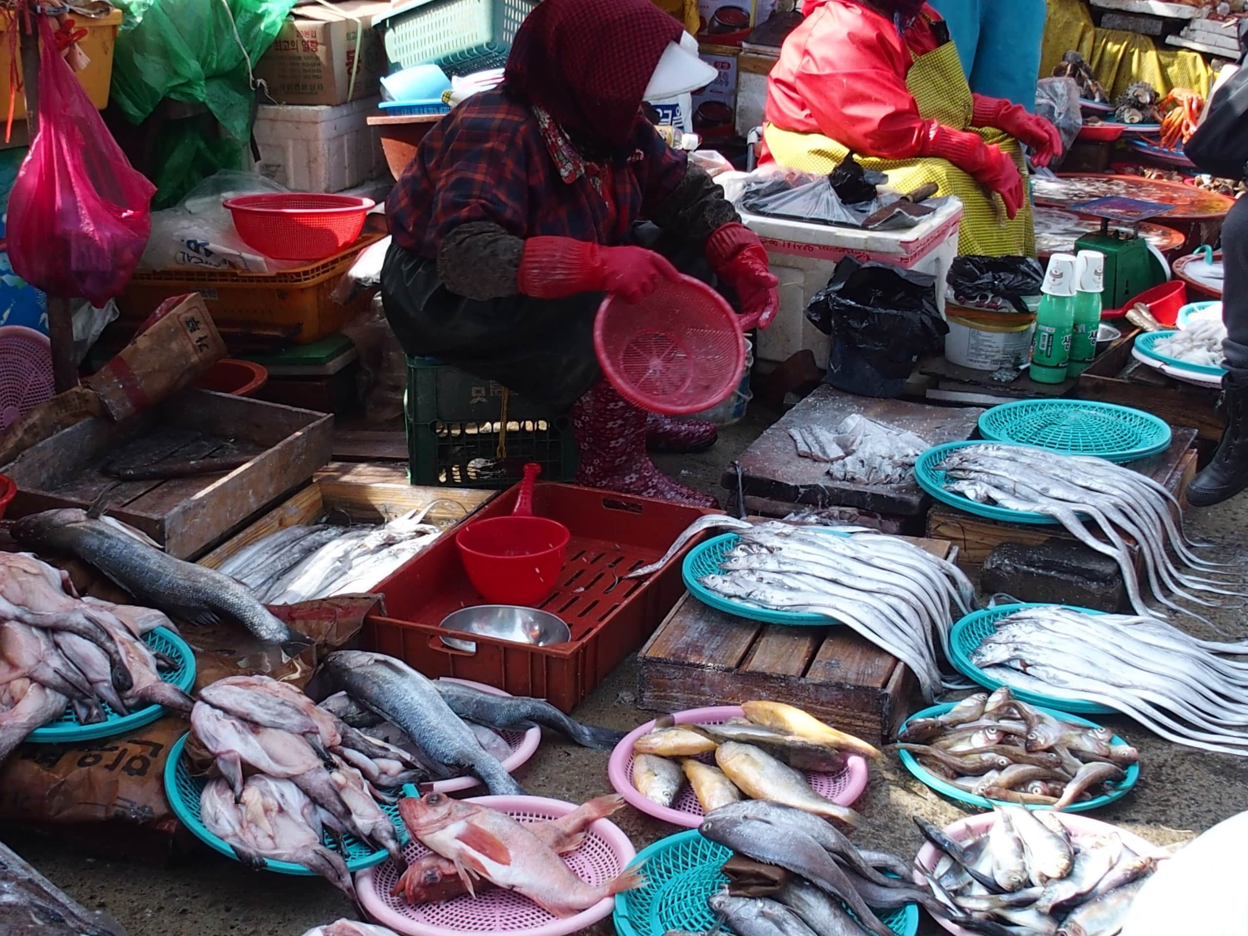 vendeuse poissons marché en Corée