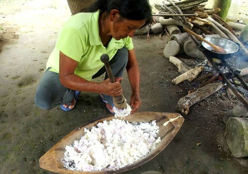 Chicha de Yuca – Equateur